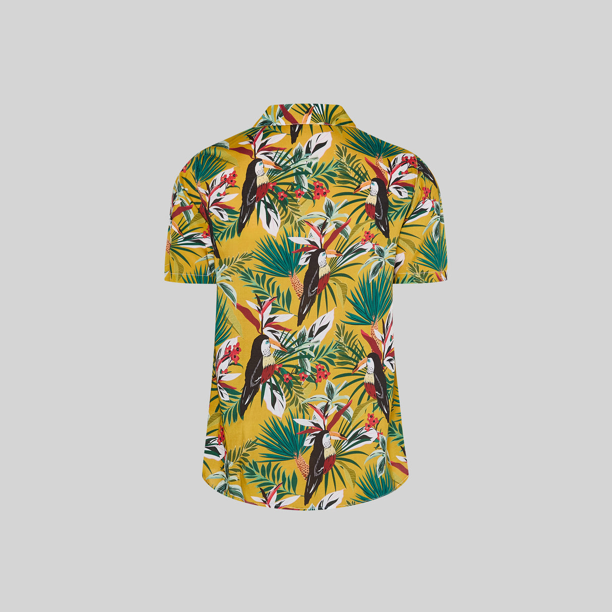 (210008-1126-XS-4.jpg)