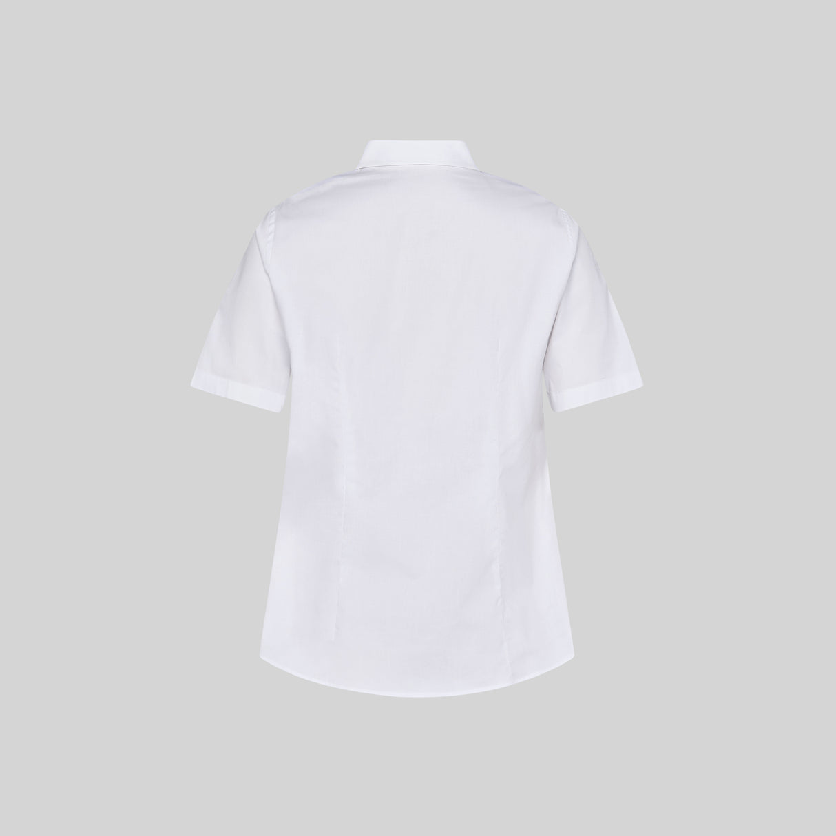 (240003-101-L-4.jpg)