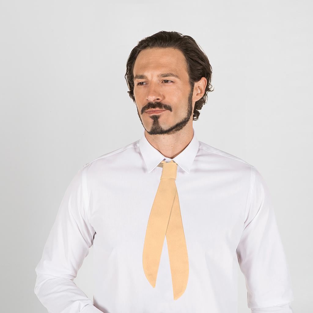 LAÇO SERVIRIO - Imagem