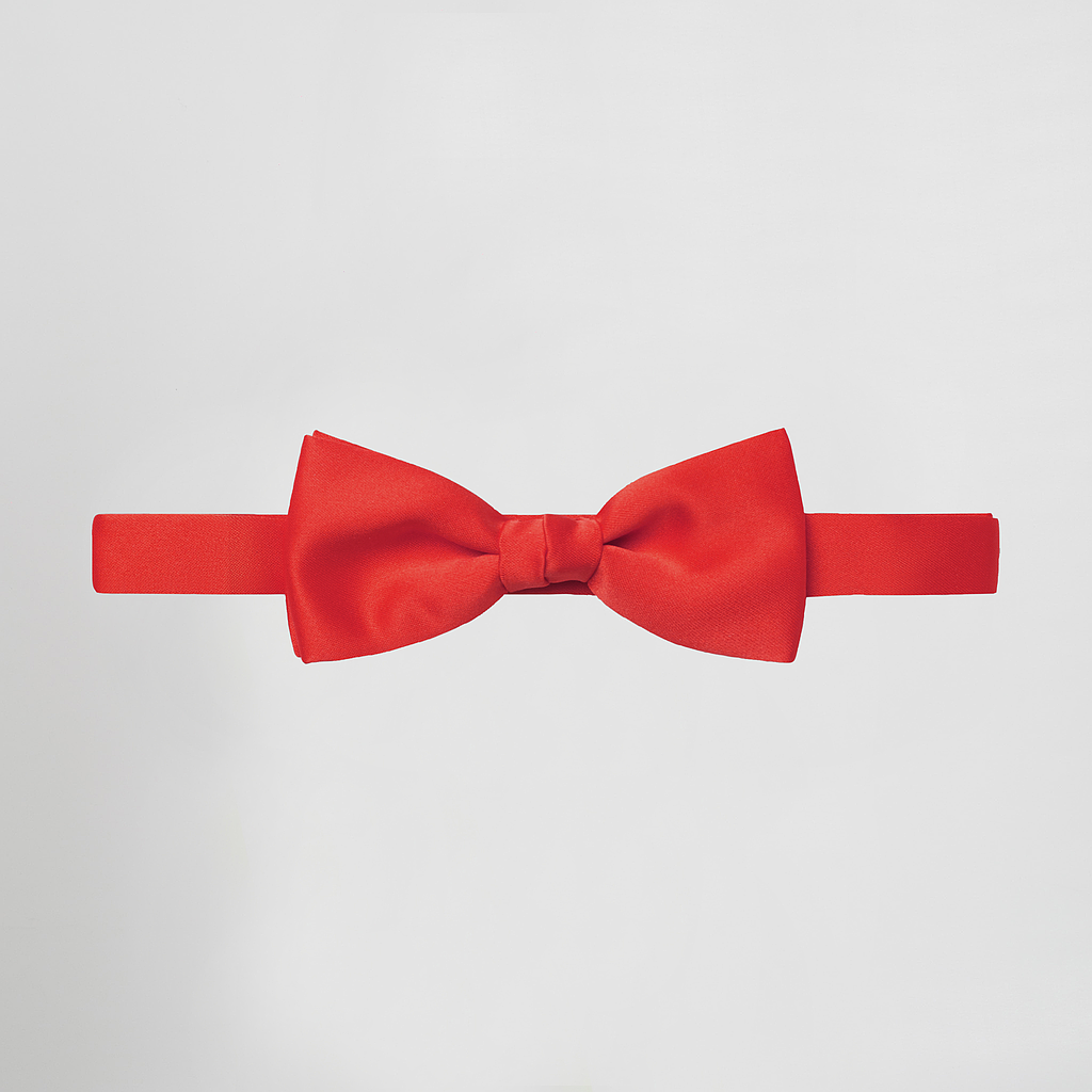 LAÇO/PAPILLON RASO - Imagem