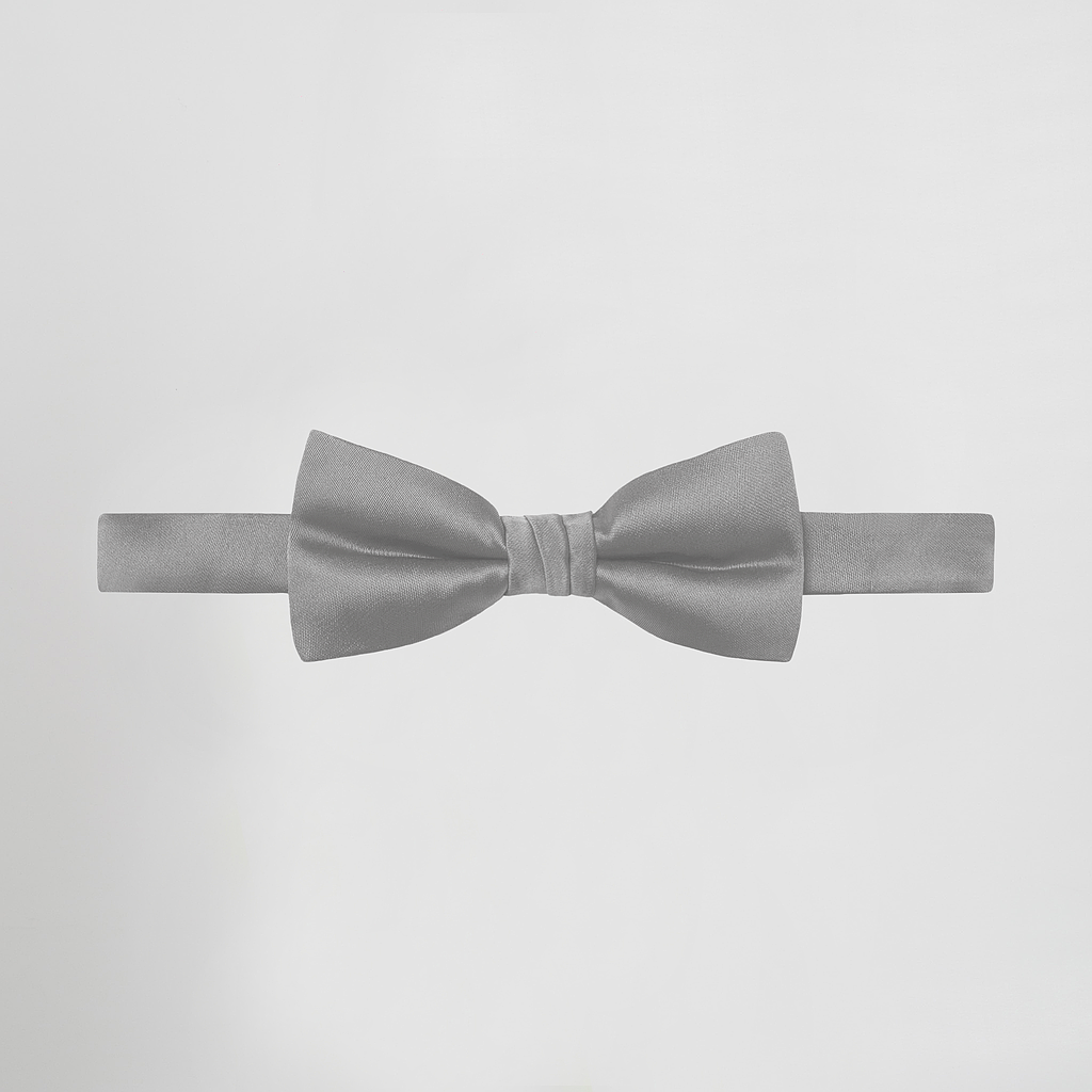 LAÇO/PAPILLON RASO - Imagem