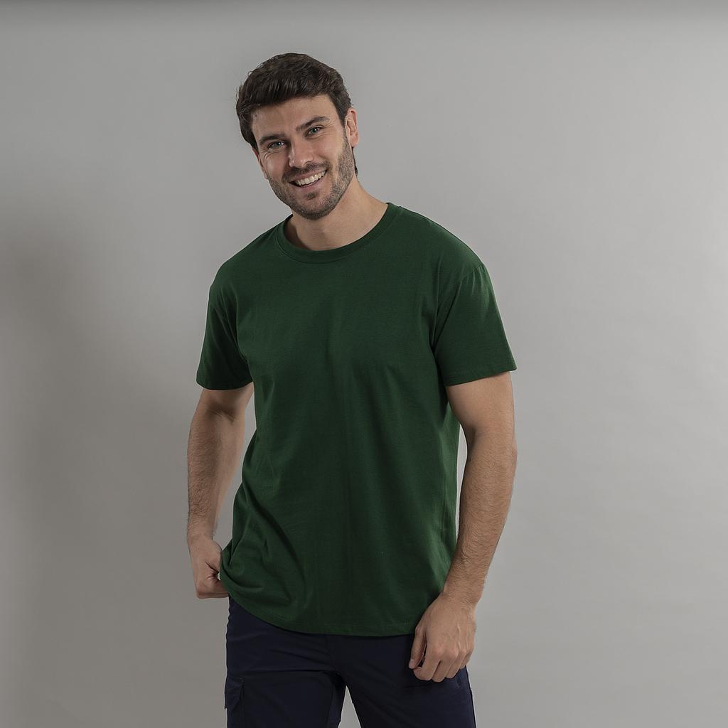VERDE BOTELLA