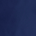41 - NAVY
