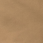 151 - CAMEL