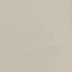 110 - BEIGE
