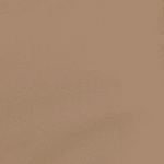 151 - CAMEL