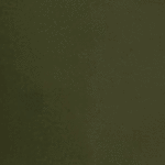 121 - VERDE OLIVA